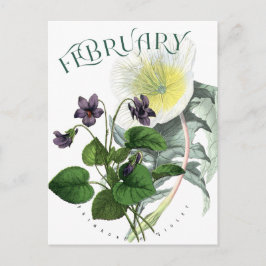 Postal Febrero Flores Primrose y Violet Fancy