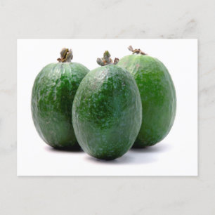 Postal Feijoa
