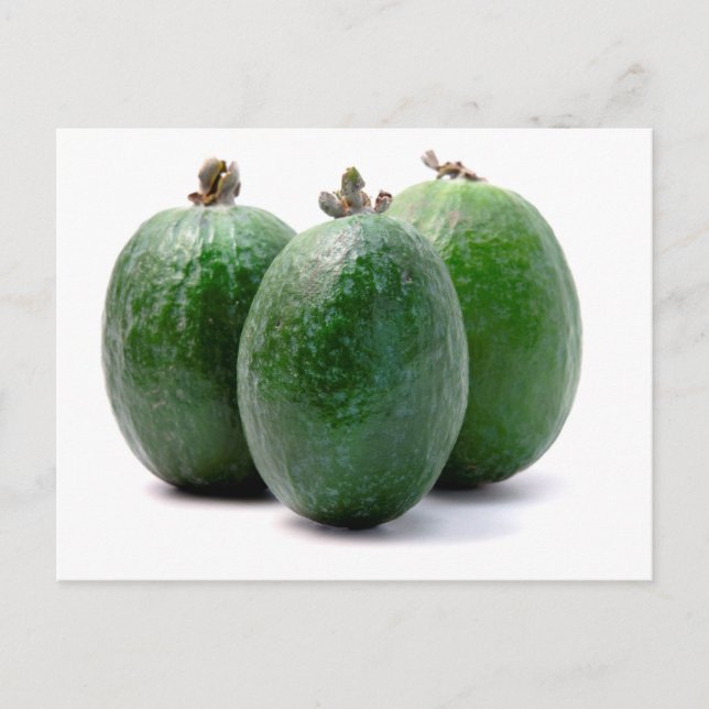 Postal Feijoa (Anverso)