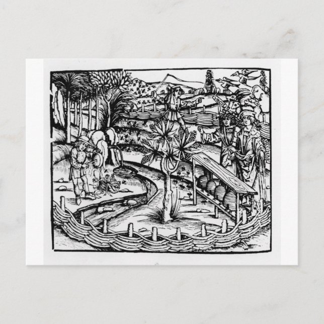 Postal Felices caseros cuidando abejas, ilustracion de (Anverso)