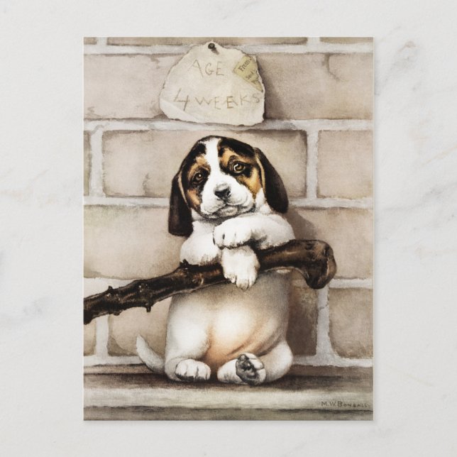 Postal Felices Fiestas (Anverso)