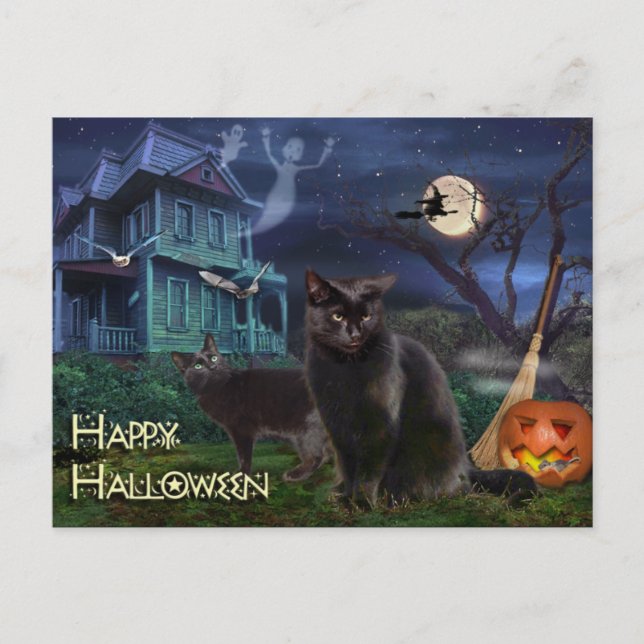 Postal Felices gatos de Halloween (Anverso)
