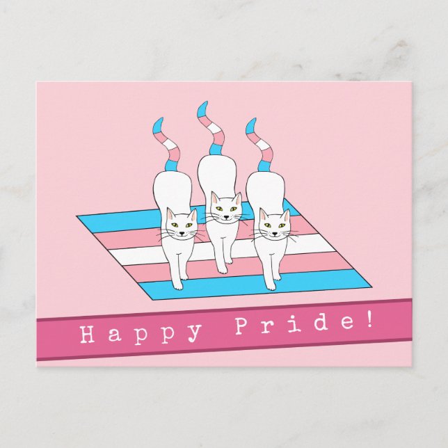 Postal Felices Gatos Del Orgullo Con Bandera Transgénero (Anverso)