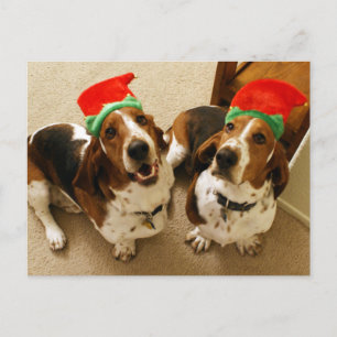 Postal Felices Howlidays