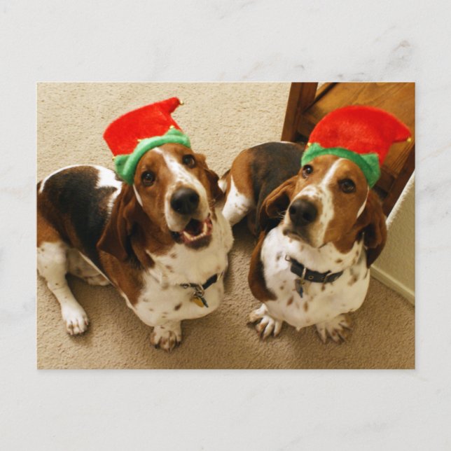 Postal Felices Howlidays (Anverso)