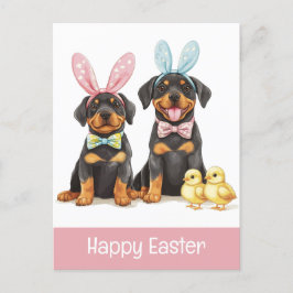 Postal Felices Orejas de Conejo de Rottweiler de Pascua