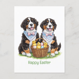 Postal Felices perros montañeses de Pascua