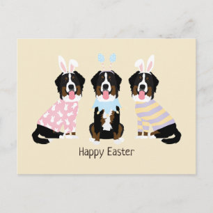 Postal Felices perros montañeses de Pascua