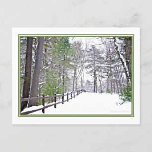 Postal Felices vacaciones/Walden Pond: