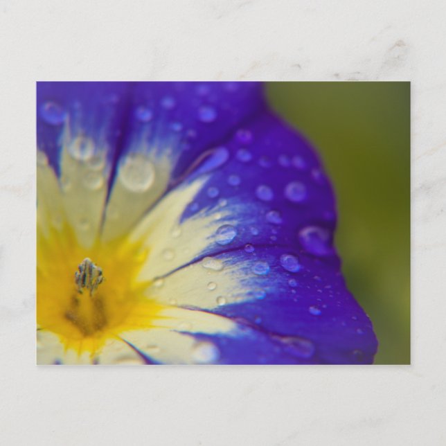 Postal Felicidad (Anverso)