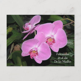 Postal Felicidades de las Madres