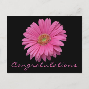 Postal Felicidades Flor de Gerbera Rosa Margarita Negra