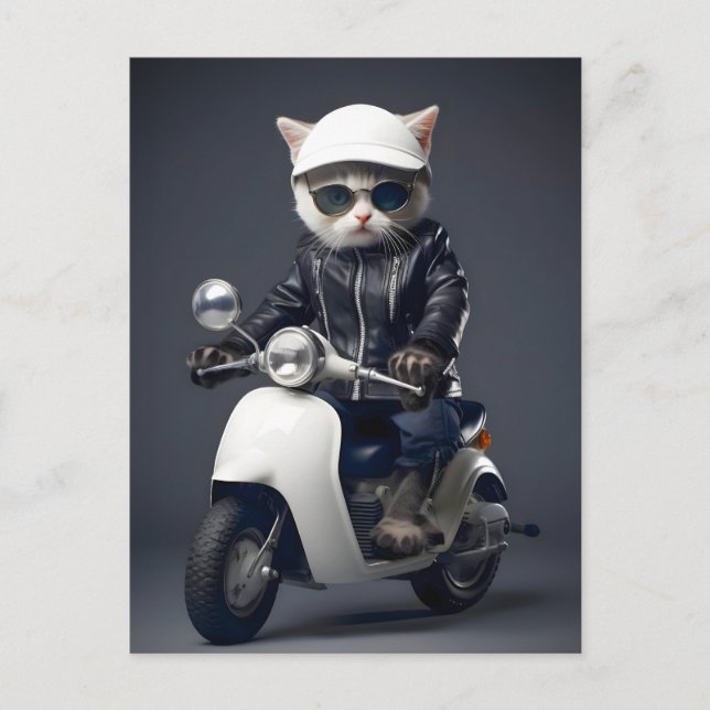 Postal Felicidades Gatito de Moto Genial (Anverso)