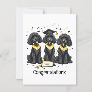 Postal Felicidades Graduación Caniches Estándar