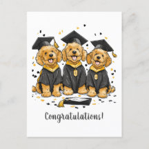 Felicidades Graduación Perros Goldendoodle