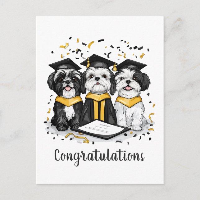 Postal Felicidades Graduación Perros Shih Tzu (Anverso)