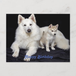 Postal Felicitación de cumpleaños adorable para perros