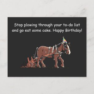 Postal Felicitación de cumpleaños divertida con caballo a