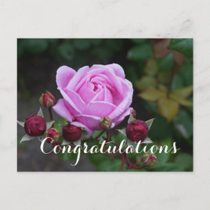 Postal Felicitaciones Castillo de Bishop #1 Postcard