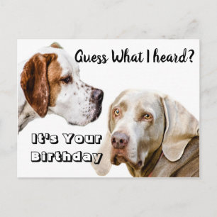 Postal Felicitaciones de cumpleaños para perros
