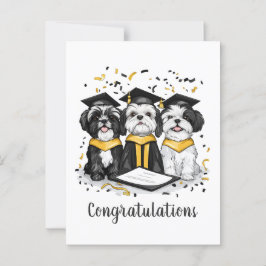 Postal Felicitaciones Graduación Shih Tzu Perros