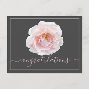 Postal Felicitaciones por el fondo gris rosa rosa