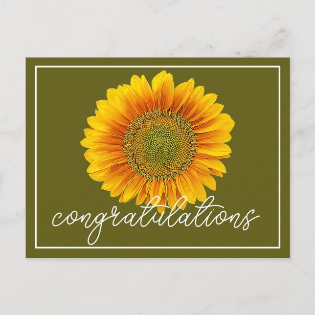 Postal Felicitaciones por el fondo verde girasol amarillo (Anverso)