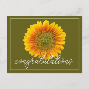 Postal Felicitaciones por el moderno girasol naranja y am