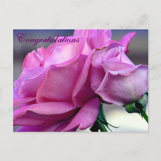 Postal Felicitaciones_ Postcard (Anverso)