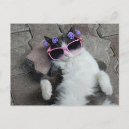 Postal Feline Diva