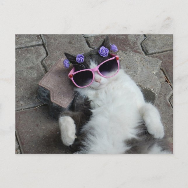Postal Feline Diva (Anverso)