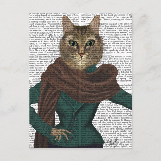 Postal Feline Fashionista (Anverso)