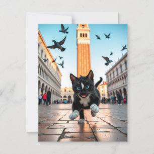 Postal Felini vs. Pigeons: Una Chase Veneciana