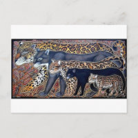 Felinos de Costa Rica - Grandes gatos