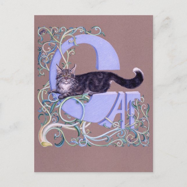 Postal Felis Illumines (Anverso)