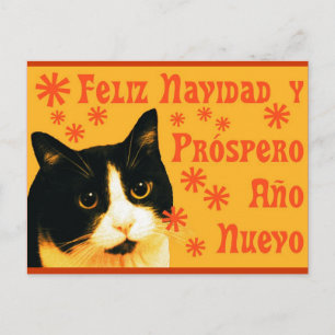 Postal Felix Navidad