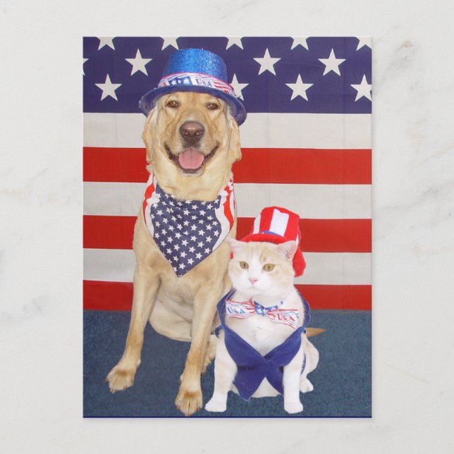 Postal ¡Feliz 4 de julio! (Anverso)