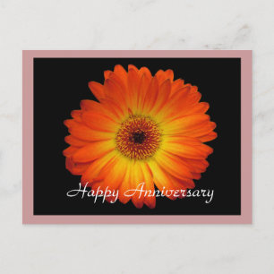 Postal Feliz aniversario gerbera de margarita naranja