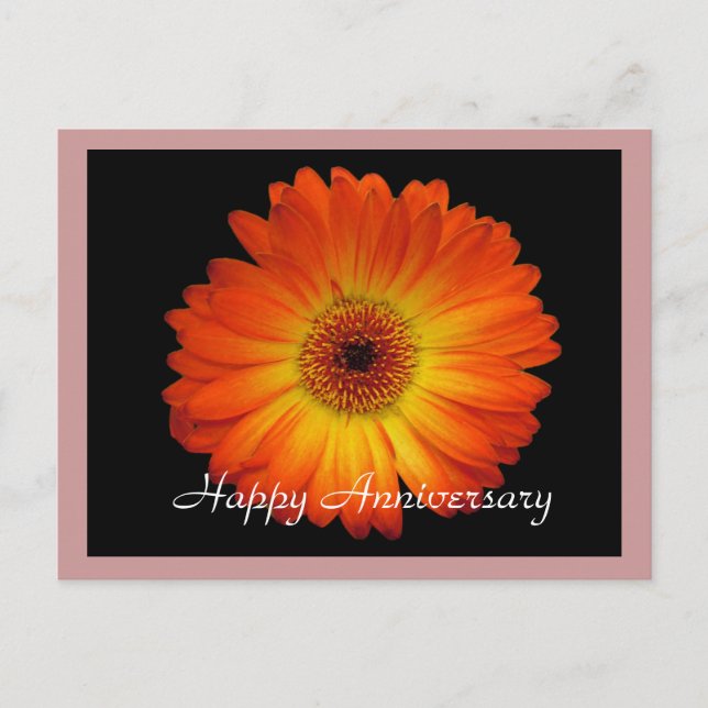 Postal Feliz aniversario naranja gerbera daisy (Anverso)