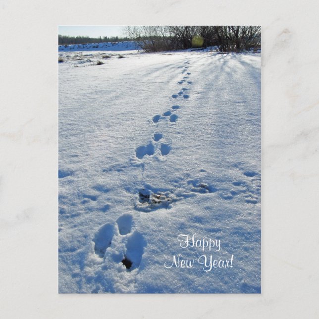 Postal feliz año nuevo (Anverso)