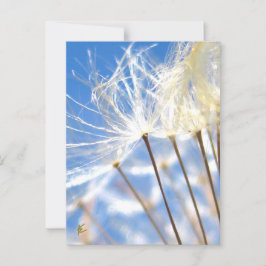 Postal Feliz, baile, Dandelion Poof, historias de la natu