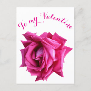 Postal Feliz bonito de San Valentín caliente rosa rosa fl