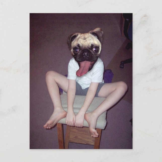 Postal Feliz chico con cabeza de cerdo. (Anverso)