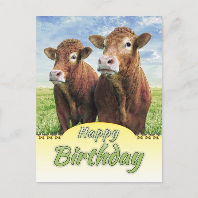 Postal Feliz cumpleaños (Anverso)