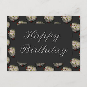 Postal Feliz cumpleaños