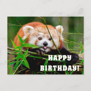 Postal Feliz cumpleaños