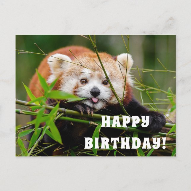 Postal Feliz cumpleaños (Anverso)