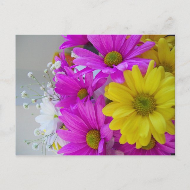 Postal ¡¡¡Feliz cumpleaños!!! (Anverso)