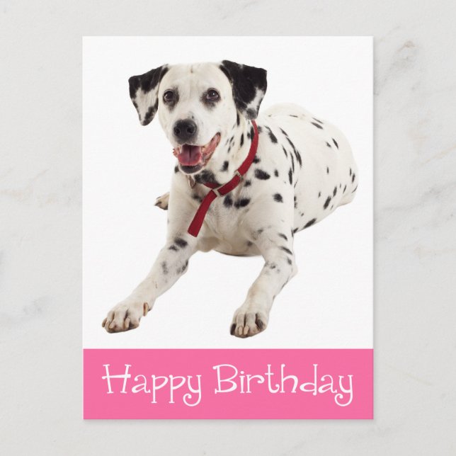 Postal Feliz cumpleaños a Cute Dalmatian Puppy Dog Lover (Anverso)
