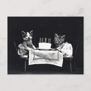 Postal Feliz cumpleaños a Meow   Kitties con pastel